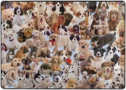 Sevimli Pet Köpekler Halı-80X58 İnç, Yumuşak ve Rahat, Süper Su Emme, Kaymaz, Kalın, kuruması kolay Oturma Odası Yatak Odası