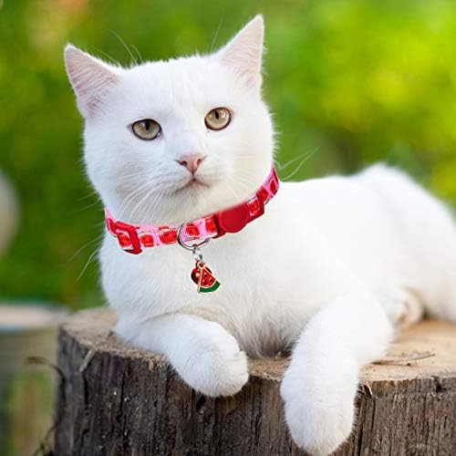 5 Parça ile Ayrılıkçı Kedi Tasmaları Çan Renkli Yaz Meyve Tarzı Ayarlanabilir Pet Yaka ile Ananas Karpuz Kiraz Çilek Avokado
