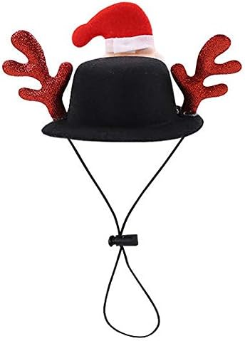 globeagle Pet Köpek Noel Şapka Komik Şapkalar Cadılar Bayramı Noel Baba Kapaklar Evcil Hayvan Aksesuarları