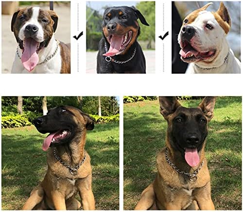 YUANKEXİANG Choke Zinciri Küçük Orta Büyük Köpekler için, zincir Köpek Eğitim Choke İtaat Yaka Ayarlanabilir Paslanmaz Çelik