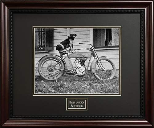 Vintage Harley Davidson Motosikletleri-Çerçeveli Siyah Beyaz Fotoğraf-Motosikletli Köpek