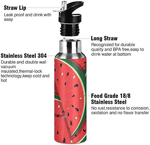 ALAZA 20oz Paslanmaz Çelik Vakum Yalıtımlı Şişe, BPA İçermez, İç veya Dış Mekan için Kırmızı Karpuz Spor Su Şişesi Dilimleri
