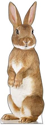 Karton İnsanlar Gelişmiş Grafik Tavşan Tavşan