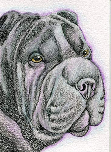 ACEO ATC-Orijinal Çizim-Shar-Pei Köpek Sanatı-Carla Smale