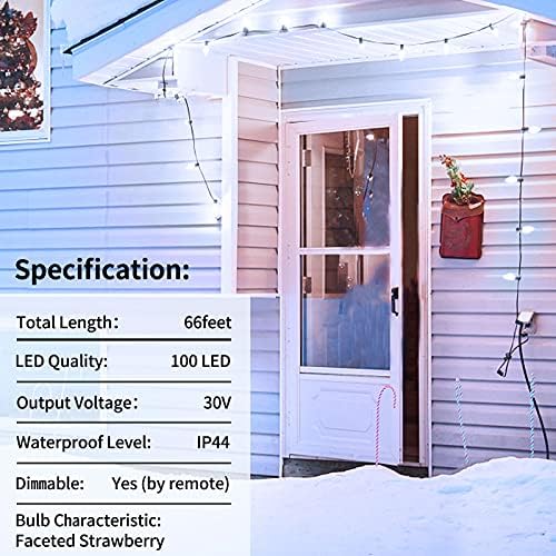C9 Noel dize ışıkları takın, 66ft 100 LED açık peri ışıkları uzaktan zamanlayıcı ile 8 modları Dim su geçirmez çilek ışık koyu