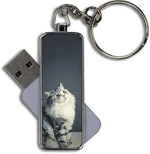 Metal Kızlar tarafından yapılan USB Disk Kapasitesi 8GB Yeni Cins Kedi ile var