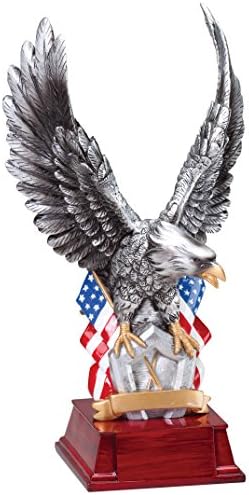 On Yıl Ödülleri Gümüş American Eagle Trophy-Yurtsever Ödülü - 11 İnç Boyunda-Şimdi Özelleştir