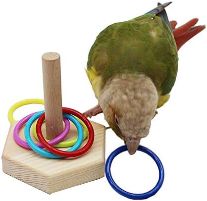 QBLEEV Kuş Oyuncaklar, Kuş Hüner Masa Oyuncaklar, Eğitim Basketbol İstifleme Renk Halka Oyuncaklar Setleri, Papağan Çiğnemek