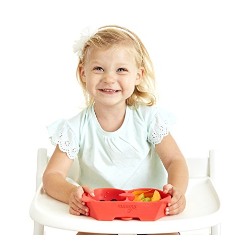 Nummy Bowl-Bebekler ve Küçük Çocuklar için Gizli Vantuzlu %100 LFGB Platin Silikon Kase / Plastiksiz, Toksik Olmayan ve Toprak