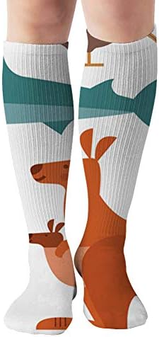 Fauna Avustralya Yeni Zelanda Kanguru Çeşitli varis çorabı Kadınlar Ve Erkekler,Hemşireler İçin En İyi,Seyahat, Gebelik, 19.68