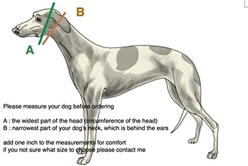 Greyhound Saluki Whippet ve Benzer Boyunlu Diğer Irklar için Ekstra Yumuşak Martingale Köpek Tasması 2 Geniş