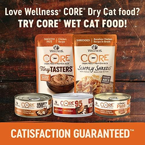 Wellness CORE Tahılsız Kuru Kedi Maması, Yüksek Proteinli Kedi Maması, İç Mekan, Somon ve Ringa Balığı Yemek Tarifi, ABD'de Üretilmiştir,