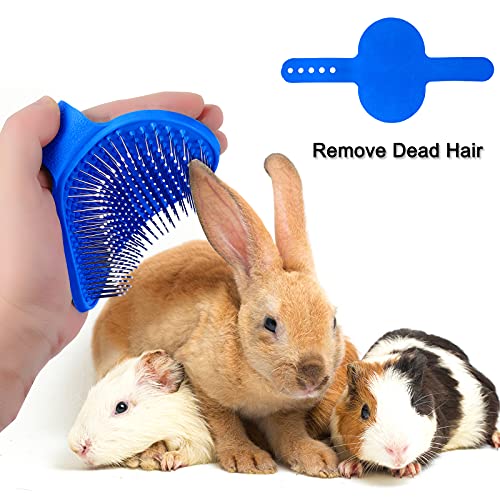 6 Adet Tavşan Tımar Kiti Tavşan Tımar Fırçası Pet Saç Çıkarıcı Şampuan Banyo Fırçası Ayarlanabilir Halka Kolu evcil hayvan tırnak