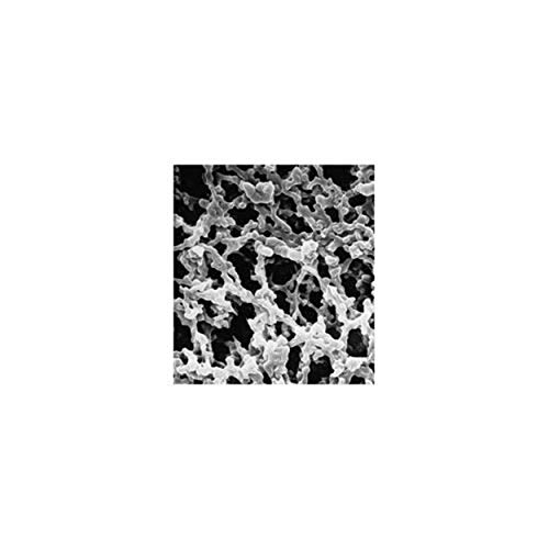 EMD Millipore MF-Millipore GSWP04700 Karışık Selüloz Ester Filtre Membranı, Hidrofilik, 0,22 µm Gözenek Boyutu, 47 mm Filtre