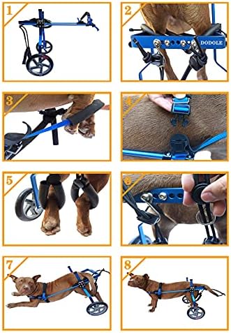DODOLE Yeni! Ayarlanabilir 2 Tekerlekli Renk Kaplama Alüminyum Köpek Tekerlekli Sandalye Engelli Köpeklerin Arka Ayakları Rehabilitasyonu