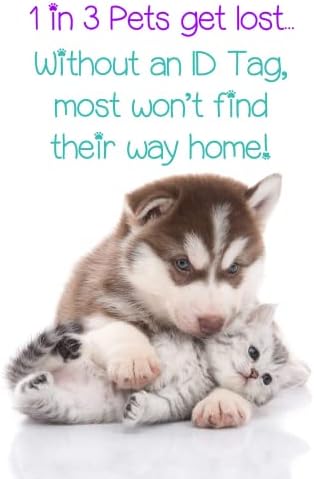 CHAVANJI Pet KIMLIK Etiketi Köpek Adı Etiketleri Kişiselleştirilmiş Ön ve Arka Gravür Özelleştirilmiş Köpek Etiketleri ve Kedi